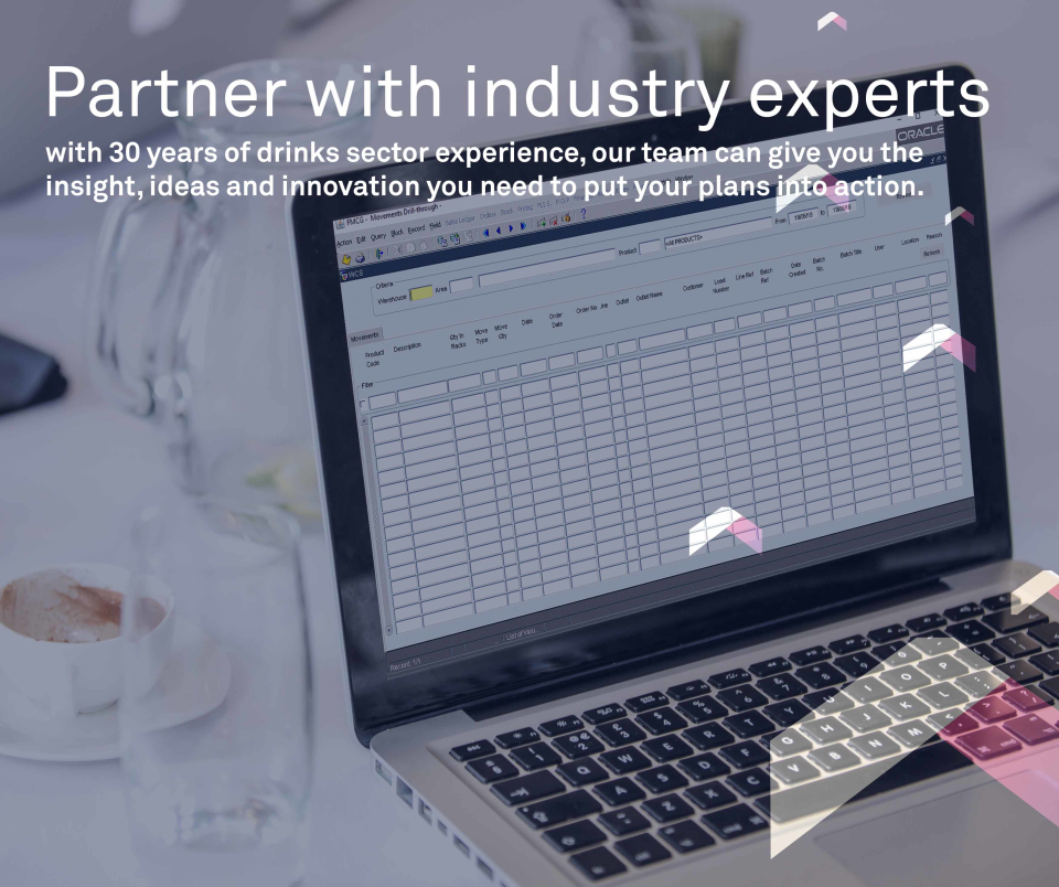 screenshot of Gaina Core ERP System